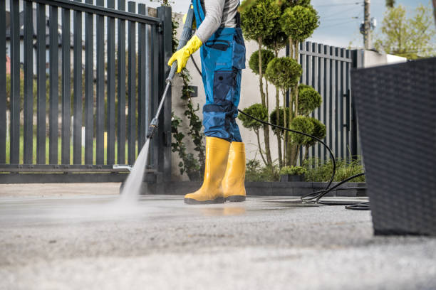 Best Driveway Pressure Washing  in Almedia, PA